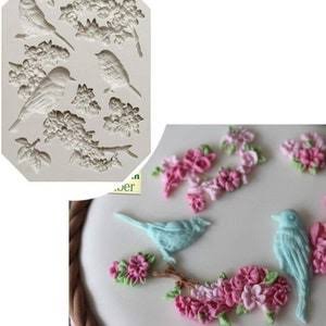 birds mould
