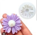 daisy mould