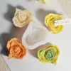 Heart mold