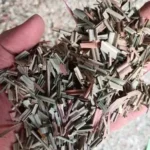 50 grm lemongrass dry