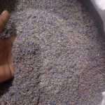 25 grm dry Kashmiri lavender for candle decoration